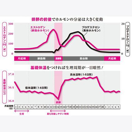 周期 日 生理 25