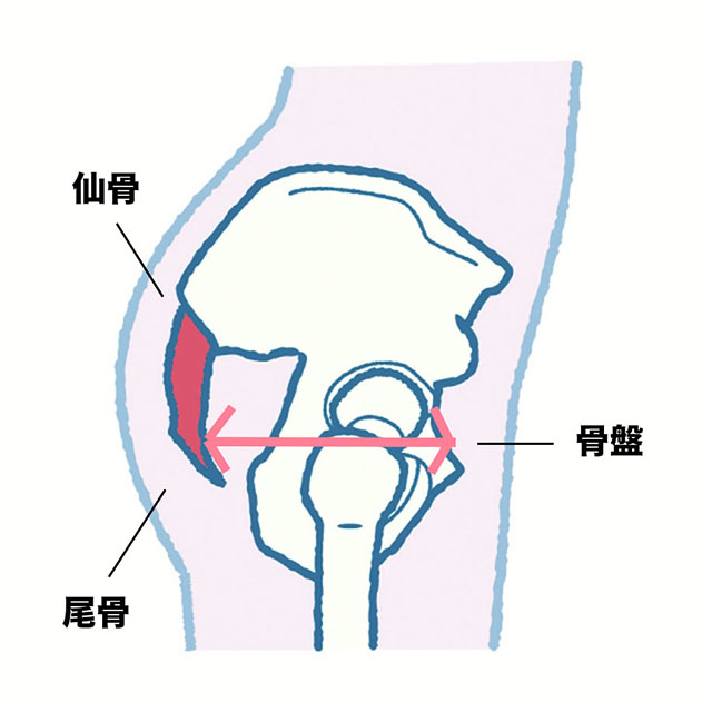 痩せる 方法 おしり