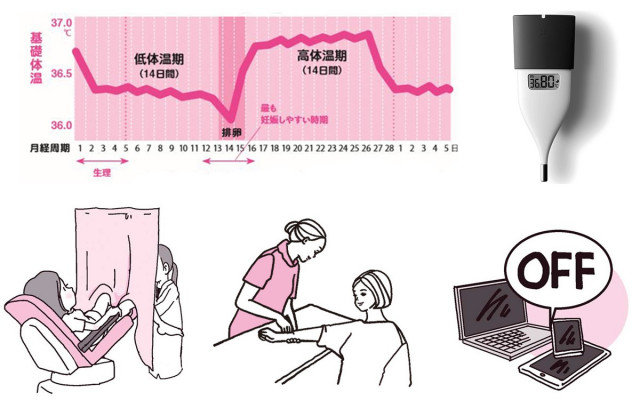 婦人科医に聞いた 生理周期25日は正常 排卵日はいつ頃 美的 Com