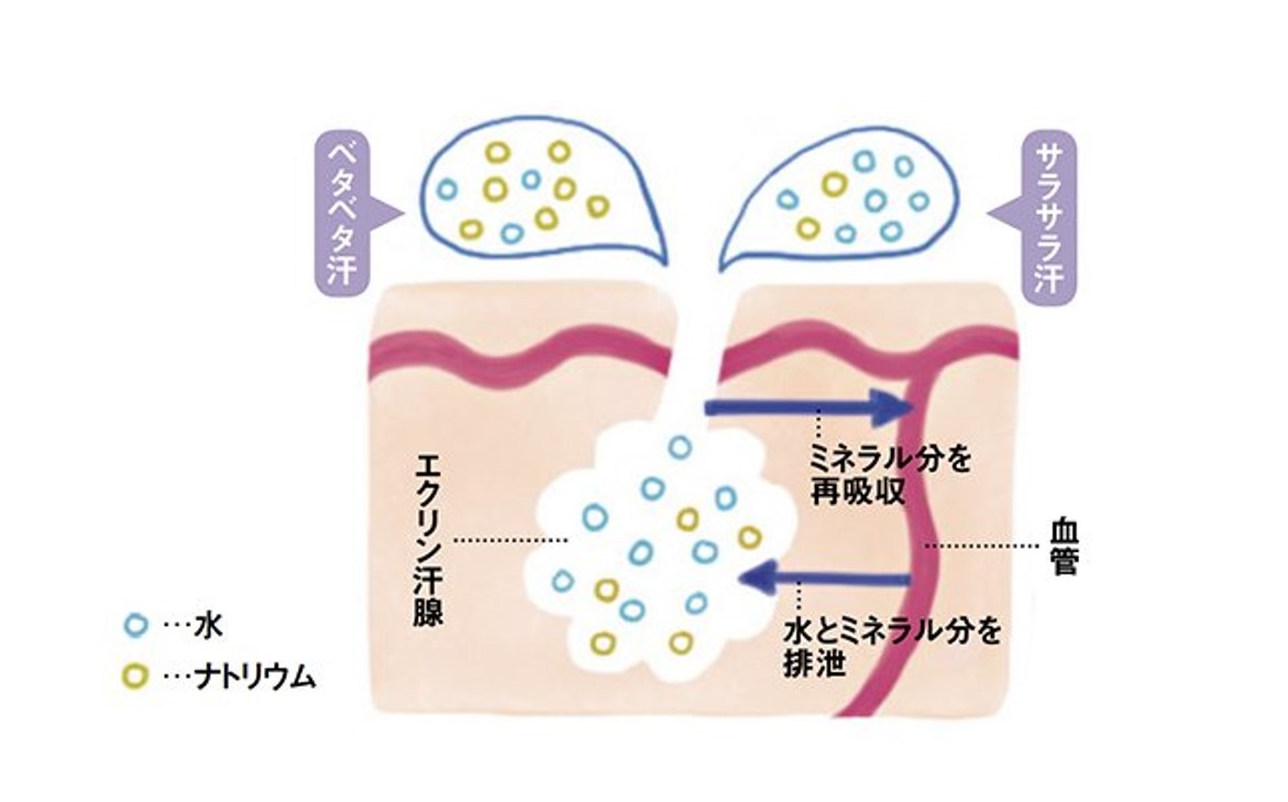 医師が回答聞く 体臭の悩みを消滅する ５つの原因 と ４つの対処法 美的 Com