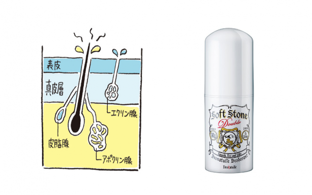 医師直伝の ワキガ対策 と読者投票best3の デオドランド商品 美的 Com