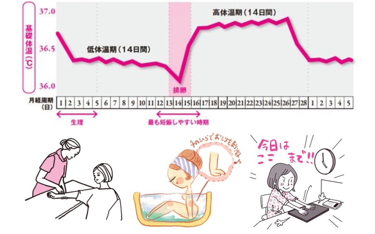 高温期17日目 生理きそう