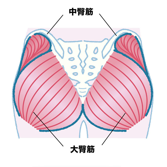 理想はこのヒップ お尻痩せに効く 超簡単ダイエットメニュー 初心者エクササイズ 筋トレ 美的 Com