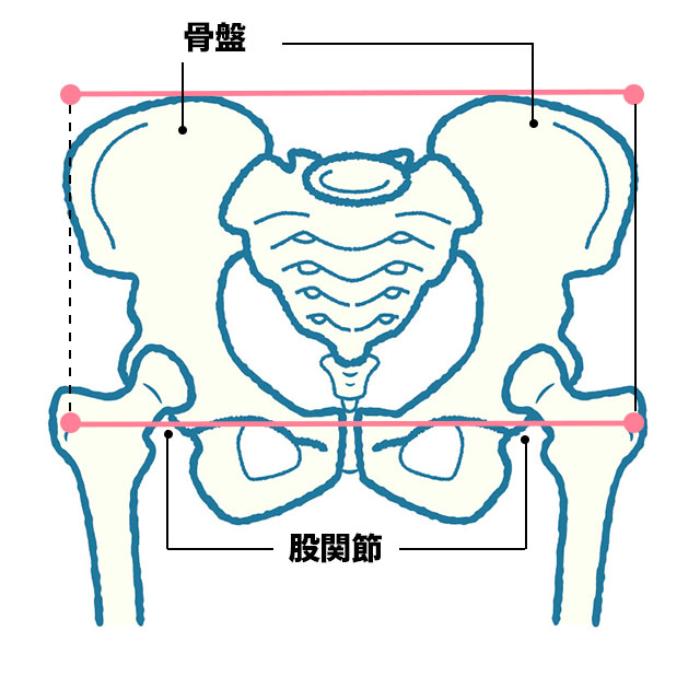 理想はこのヒップ お尻痩せに効く 超簡単ダイエットメニュー 初心者エクササイズ 筋トレ 美的 Com