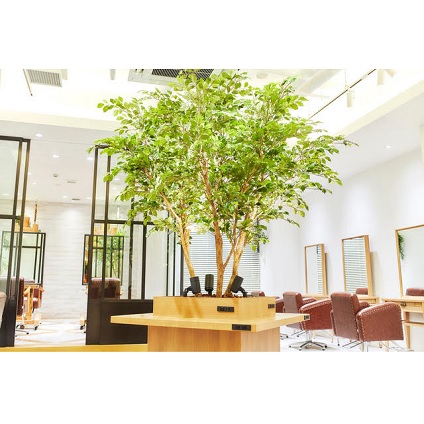 LONESS ginza(ローネス ギンザ)