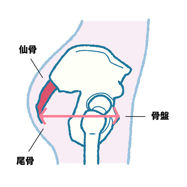 理想はこのヒップ お尻痩せに効く 超簡単ダイエットメニュー 初心者エクササイズ 筋トレ 美的 Com