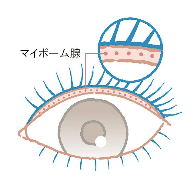 目 を 白く する