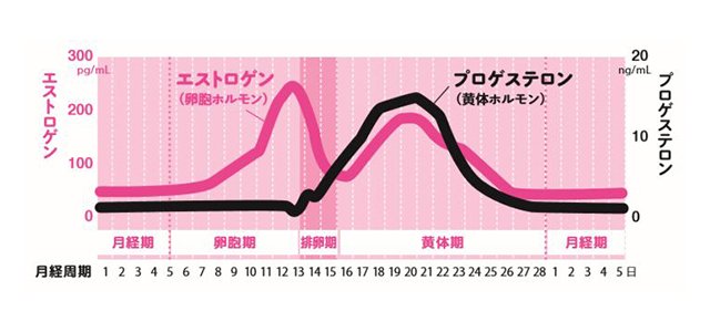 月経 周期 計算