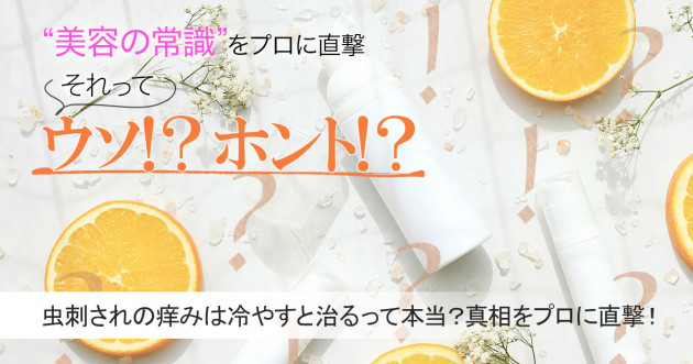 虫刺されの痒みは冷やすと治るって本当 真相をムヒの研究者に直撃 美容の常識ウソ ホント 美的 Com