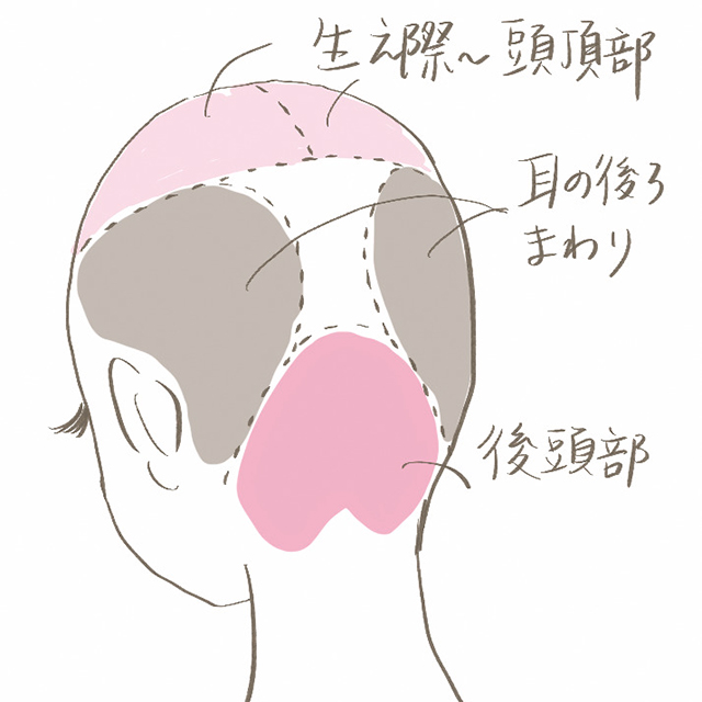 健康な髪 頭皮をキープし 髪の毛を早く伸ばす 6つの方法 美的 Com