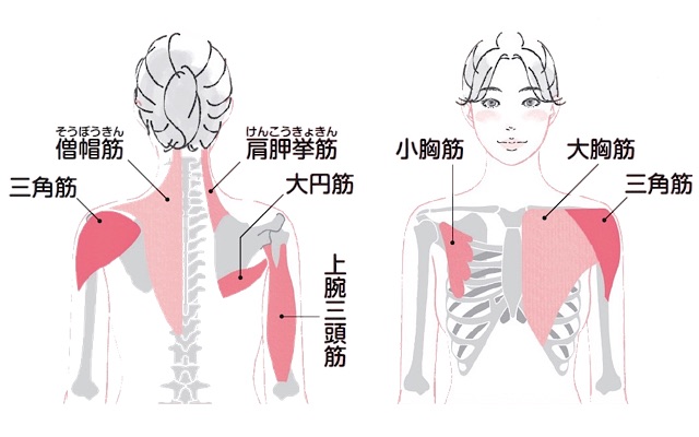 あなたは 背中で握手 できる 肩コリ解消 ぐっすり眠れる 猫背改善 意外なメリットを 柔軟王子 村山 巧さんが解説 美的 Com