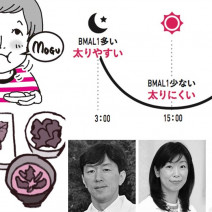 医師・栄養士に聞いた！ダイエット中の「食事」を見直し方【食生活マニュアル】