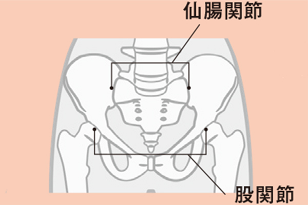 腰がだるい 原因 と 解消法 を 専門家に聞くと 簡単ストレッチ 美的 Com