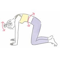 【プロの簡単ワザ】最大の効果を狙う、下腹ダイエットエクササイズ「11のやり方」