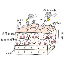 肌をきれいにするには？賢者に聞く美肌習慣とケア方法