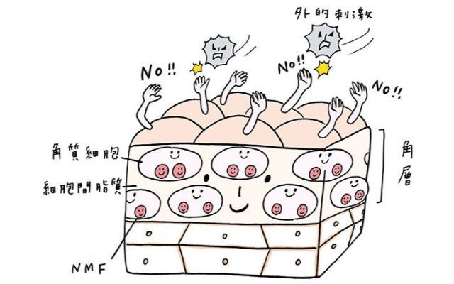 肌をきれいにするには 賢者に聞く美肌習慣とケア方法 美的 Com