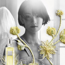 資生堂「ザ・ギンザ（THE GINZA）」から日本限定フレグランスが誕生。銀座に咲く菩提樹の花を再現
