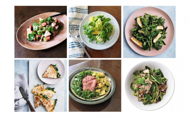 クレソンの栄養 ベストな食べ方は おすすめレシピ12選 美的 Com