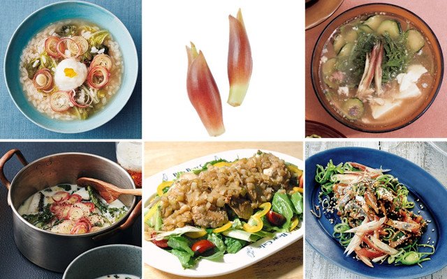 冷え 美肌 胃腸などに効果的 美容食材 ミョウガの栄養 食欲増進レシピ16選 美的 Com