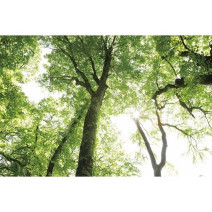 サスティナブルな時代だからコスメも「クリーンビューティ」なものを！おすすめ9ブランド