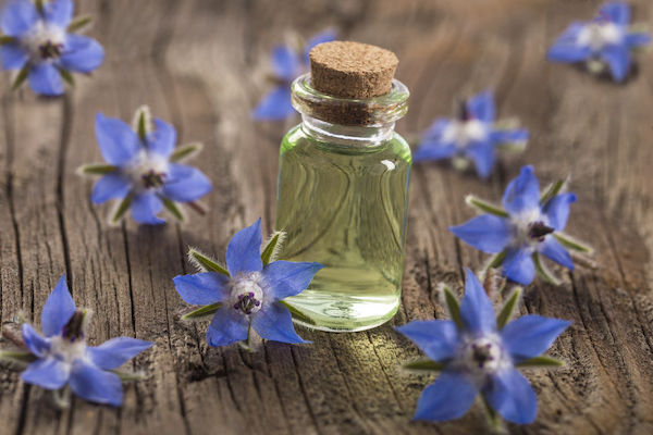 Borage oil Borago Officinalis