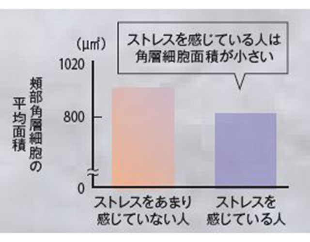 %e3%82%ad%e3%83%a3%e3%83%97%e3%83%81%e3%83%a37