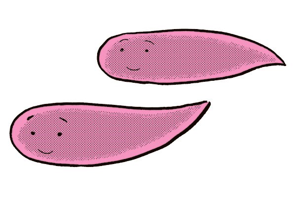元気な「うんこ」ってどんなの？アラサー世代の半分はどっさり出せていない！