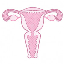 腟の奥が痛み、出血も。子宮内に原因があるの？｜性交痛のお悩み相談