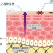 【月桃葉エキス】どんな効果があるの？ わかりやすく解説します