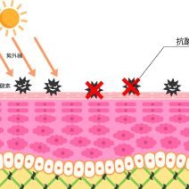 【フラーレン】抗酸化効果を、わかりやすく解説します