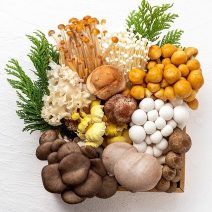 きのこの「栄養」と「効能」まとめ｜ダイエット・美容への取り入れ方