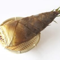 たけのこの「栄養」と「糖質」まとめ｜ダイエット・美容への取り入れ方