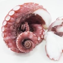 タコの「栄養」と「糖質」まとめ｜ダイエット・美容への取り入れ方