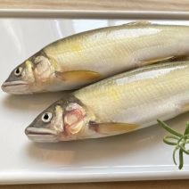アユの「栄養」と「糖質」まとめ｜ダイエット・美容への取り入れ方