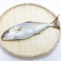 カンパチの「栄養」と「糖質」まとめ｜ダイエット・美容への取り入れ方