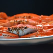 カニの「栄養」と「糖質」まとめ｜ダイエット・美容への取り入れ方