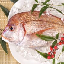 マダイの「栄養」と「糖質」まとめ｜ダイエット・美容への取り入れ方