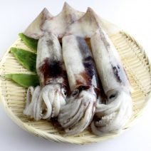 スルメイカの「栄養」と「糖質」まとめ｜ダイエット・美容への取り入れ方