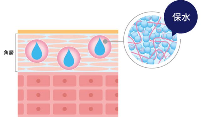 保湿効果の図解