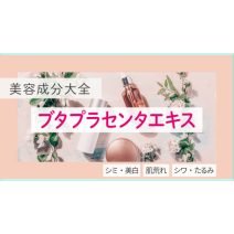 ブタプラセンタエキス｜豊富な栄養素と成長因子を含む胎盤由来【美容成分大全】