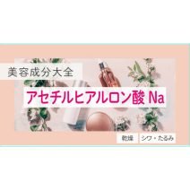 アセチルヒアルロン酸Na｜化粧品としての効果は？【美容成分大全】