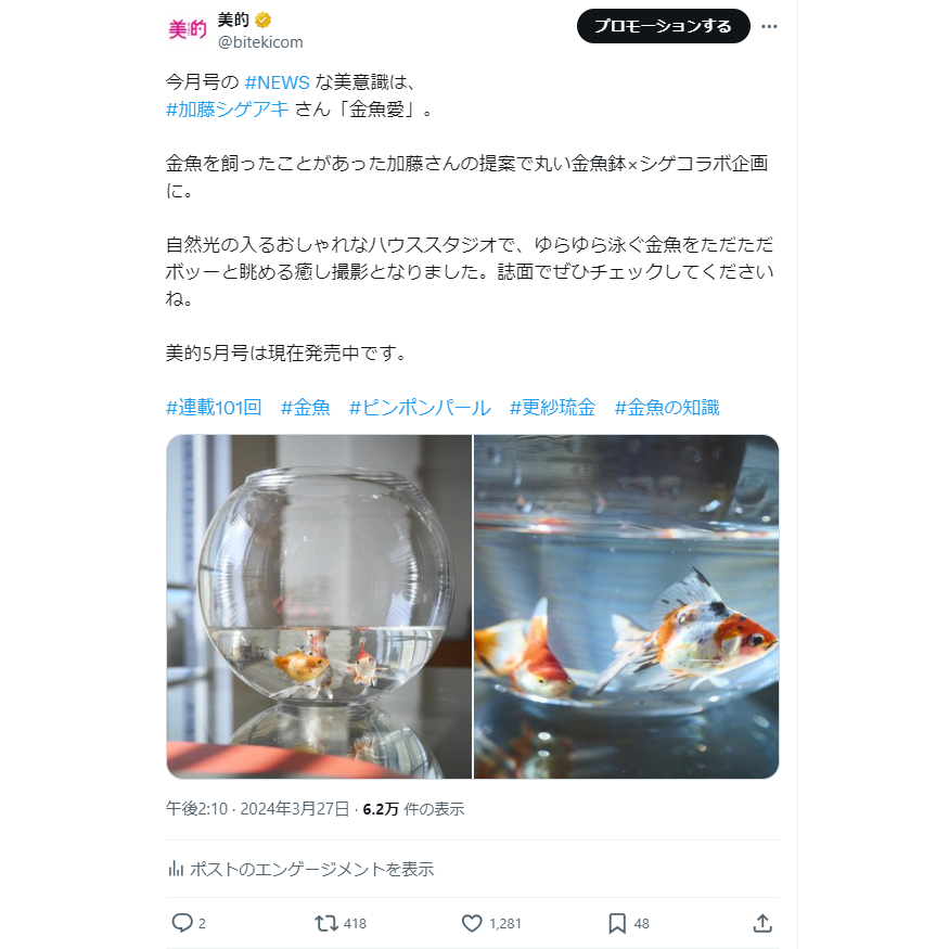 NEWS加藤シゲアキさんの金魚愛、松村沙友理さんが魅せるキレイめヌーディ肌　XトレンドランキングTOP5 Vol.182