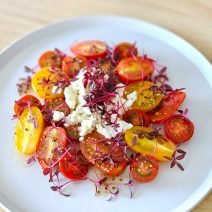 栄養価が高いスプラウトに注目！「ミニトマトとアマランサス、リコッタチーズのサラダ」【Today’s SALAD #290】