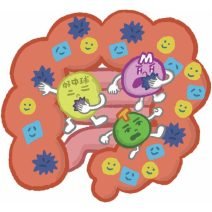 体調を崩しやすい夏に必見！ 免疫アップのためにやるべき腸活とは？