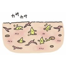 ＼教えて！大杉みどりさん／大切なのは乾燥ケア！？ 地道な角質ケアで大人ニキビ・毛穴を解決