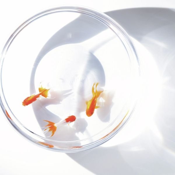 夏は肌がフルパワーで働かされ続ける季節！ラジエーターケアで肌熱を取り除く方法とは？