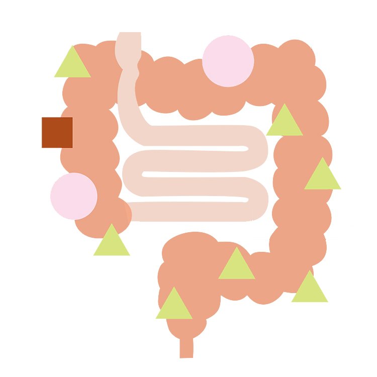 今日の腸活が10年後の私をつくる！肌も体も心も「腸次第」｜美的GRAND