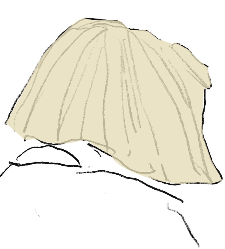 斉藤裕子