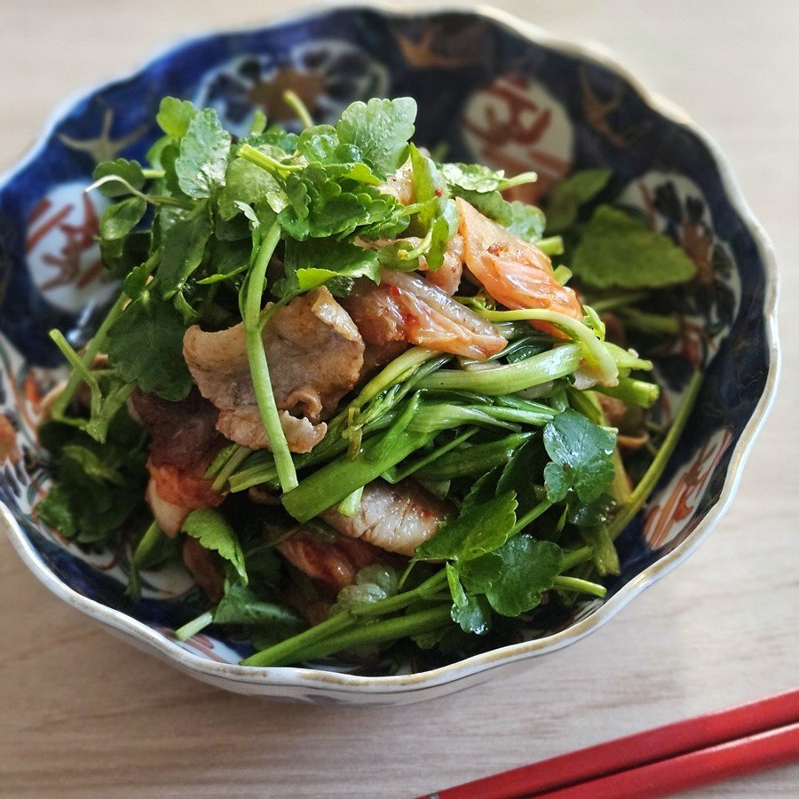 ミナリ＝セリの美肌力＆おいしさに注目！「ミナリサムギョプサル風サラダ」【Today’s SALAD #313】