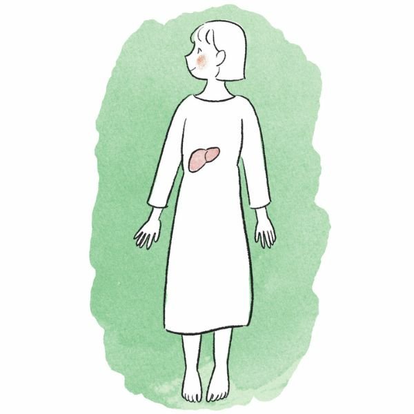 美容と健康に深く関わる「肝臓」の働きとは？ キレイを底上げする【肝活】のすすめ